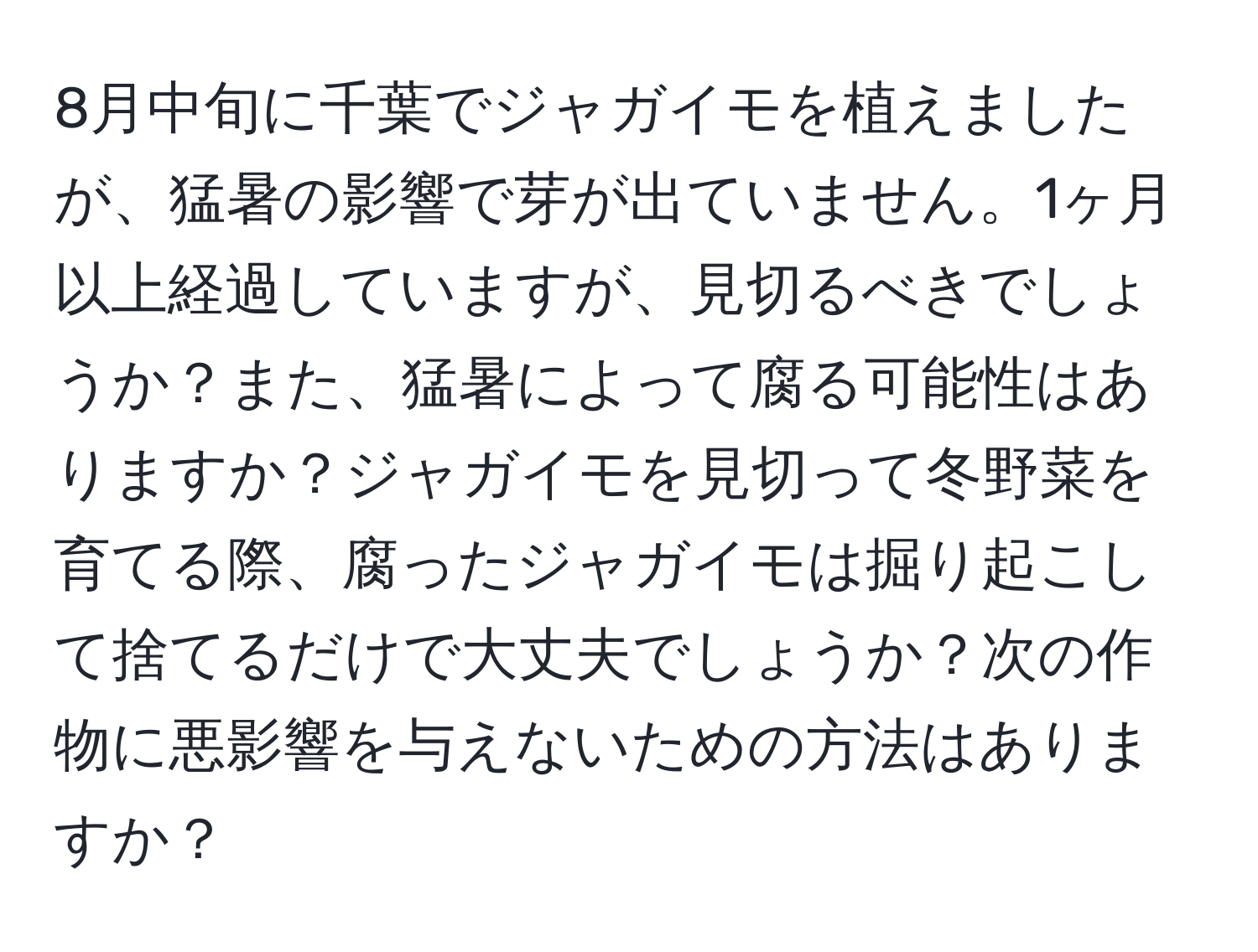 8月中旬に千葉でジャガイモを植えましたが、猛暑の影響で芽が出ていません。1ヶ月以上経過していますが、見切るべきでしょうか？また、猛暑によって腐る可能性はありますか？ジャガイモを見切って冬野菜を育てる際、腐ったジャガイモは掘り起こして捨てるだけで大丈夫でしょうか？次の作物に悪影響を与えないための方法はありますか？