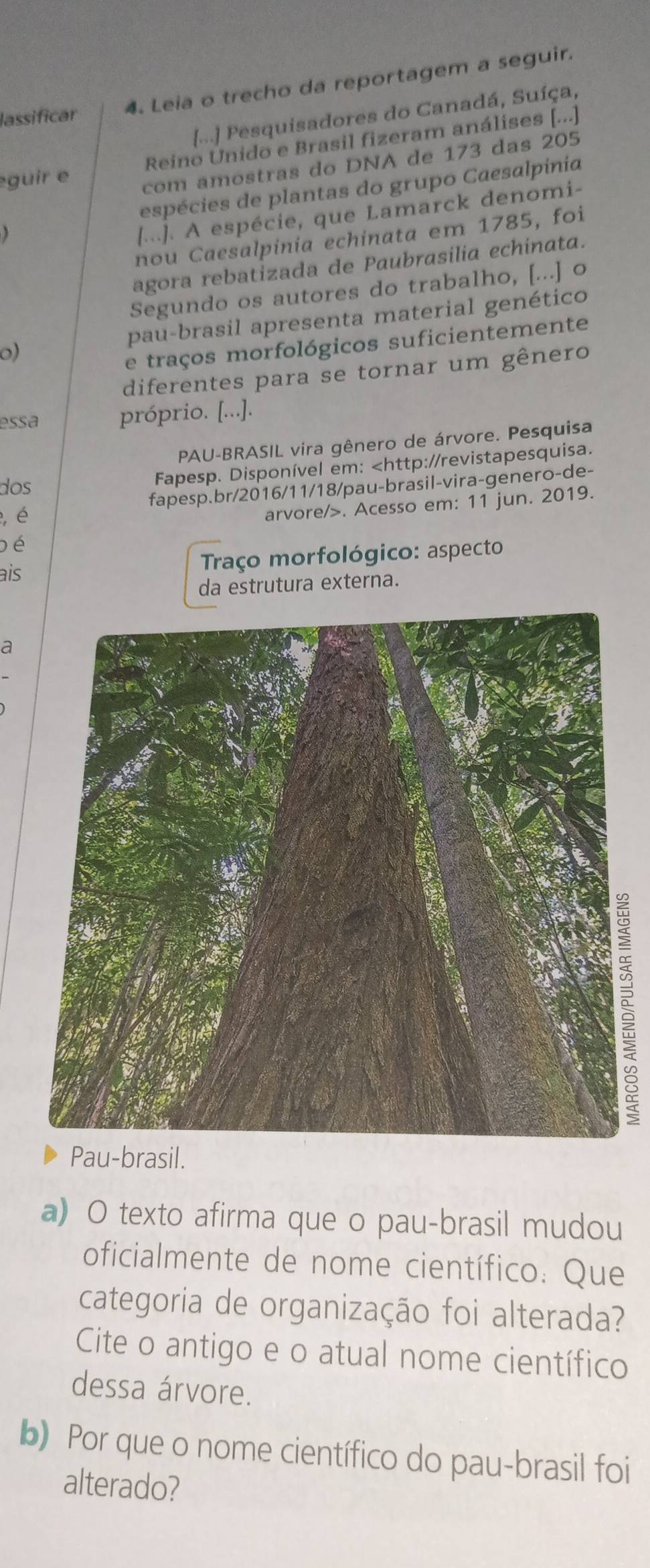 lassificar 4. Leia o trecho da reportagem a seguir. 
[...] Pesquisadores do Canadá, Suíça, 
Reino Unido e Brasil fizeram análises [...] 
guir e com amostras do DNA de 173 das 205
espécies de plantas do grupo Caesalpinia 
[...]. A espécie, que Lamarck denomi- 
nou Caesalpinia echinata em 1785, foi 
agora rebatizada de Paubrasilia echinata. 
Segundo os autores do trabalho, [...] o 
pau-brasil apresenta material genético 
o) 
e traços morfológicos suficientemente 
diferentes para se tornar um gênero 
essa próprio. [...]. 
PAU-BRASIL vira gênero de árvore. Pesquisa 
dos 
Fapesp. Disponível em:. Acesso em: 11 jun. 2019. 
D é 
ais * Traço morfológico: aspecto 
da estrutura externa. 
a 
S 
Pau-brasil. 
a) O texto afirma que o pau-brasil mudou 
oficialmente de nome científico: Que 
categoria de organização foi alterada? 
Cite o antigo e o atual nome científico 
dessa árvore. 
b) Por que o nome científico do pau-brasil foi 
alterado?