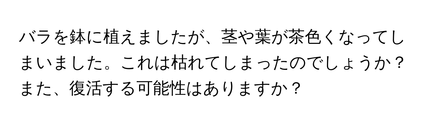 バラを鉢に植えましたが、茎や葉が茶色くなってしまいました。これは枯れてしまったのでしょうか？また、復活する可能性はありますか？