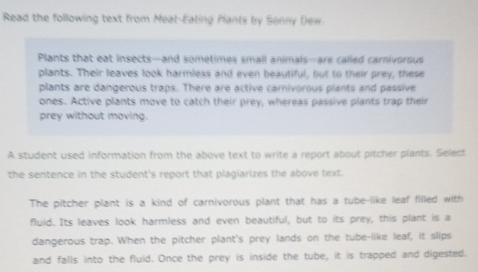 Read the following text from Meat-Eating Plants by Sonny Dew. 
Plants that eat insects—and sometimes small animals—are called carnivorous 
plants. Their leaves look harmless and even beautiful, but to their prey, these 
plants are dangerous traps. There are active carnivorous plants and passive 
ones. Active plants move to catch their prey, whereas passive plants trap their 
prey without moving. 
A student used information from the above text to write a report about pitcher plants. Select 
the sentence in the student's report that plagiarizes the above text. 
The pitcher plant is a kind of carnivorous plant that has a tube-like leaf filled with 
fluid. Its leaves look harmless and even beautiful, but to its prey, this plant is a 
dangerous trap. When the pitcher plant's prey lands on the tube-like leaf, it slips 
and falls into the fluid. Once the prey is inside the tube, it is trapped and digested.