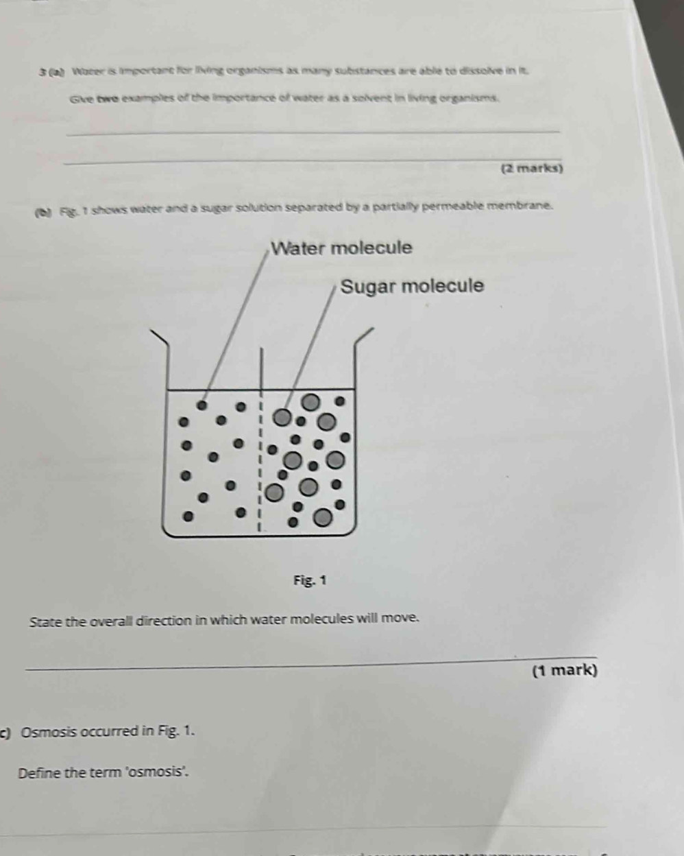 3 (a) Wacer is important for living organisms as many substances are able to dissolve in it. 
Give two examples of the importance of water as a solvent in living organisms. 
_ 
_ 
(2 marks) 
(b) Fig. 1 shows water and a sugar solution separated by a partially permeable membrane. 
State the overall direction in which water molecules will move. 
_ 
(1 mark) 
c) Osmosis occurred in Fig. 1. 
Define the term 'osmosis'. 
_