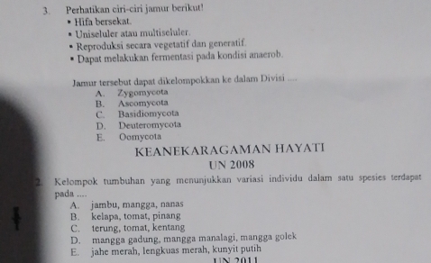 Perhatikan ciri-ciri jamur berikut!
Hifa bersekat
Uniseluler atau multiseluler.
Reproduksi secara vegetatif dan generatif.
Dapat melakukan fermentasi pada kondisi anaerob.
Jamur tersebut dapat dikelompokkan ke dalam Divisi ....
A. Zygomycota
B. Ascomycota
C. Basidiomycota
D. Deuteromycota
E. Oomycota
KEANEKARAGAMAN HAYATI
UN 2008
2. Kelompok tumbuhan yang menunjukkan variasi individu dalam satu spesies terdapat
pada ....
A. jambu, mangga, nanas
B. kelapa, tomat, pinang
C. terung, tomat, kentang
D. mangga gadung, mangga manalagi, mangga golek
E. jahe merah, lengkuas merah, kunyit putih