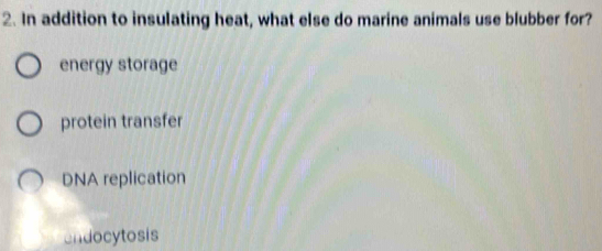 In addition to insulating heat, what else do marine animals use blubber for?
energy storage
protein transfer
DNA replication
endocytosis