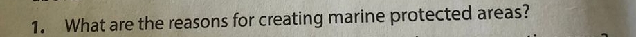 What are the reasons for creating marine protected areas?