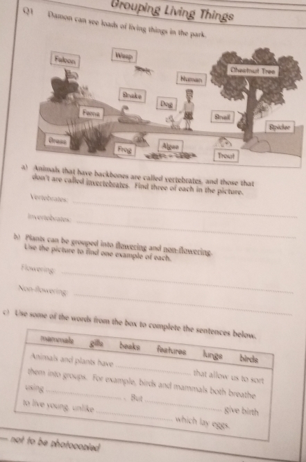Grouping Living Things 
Q1 Damon can see loads of living things in the p 
e backbones are called vertebrates, and those that 
don't are called invectebrates. Find three of each in the picture. 
Vertebrates 
Invertebrates 
_ 
_ 
b) Plants can be grouped into flowering and non-flowering. 
Use the picture to find one example of each. 
Flowering_ 
Non-flowering_ 
c) Use some of the words from the bo 
-ocopled