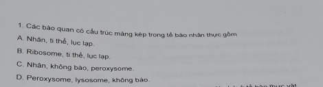 Các bào quan có cầu trúc màng kép trong tế bào nhân thực gồm
A. Nhân, ti thể, lục lạp
B. Ribosome, ti thể, lục lạp.
C. Nhãn, không bào, peroxysome.
D. Peroxysome, lysosome, không bào.