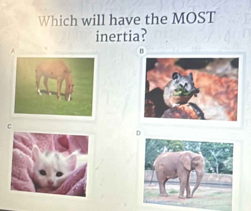 Which will have the MOST 
inertia? 
A 
B 
C 
D