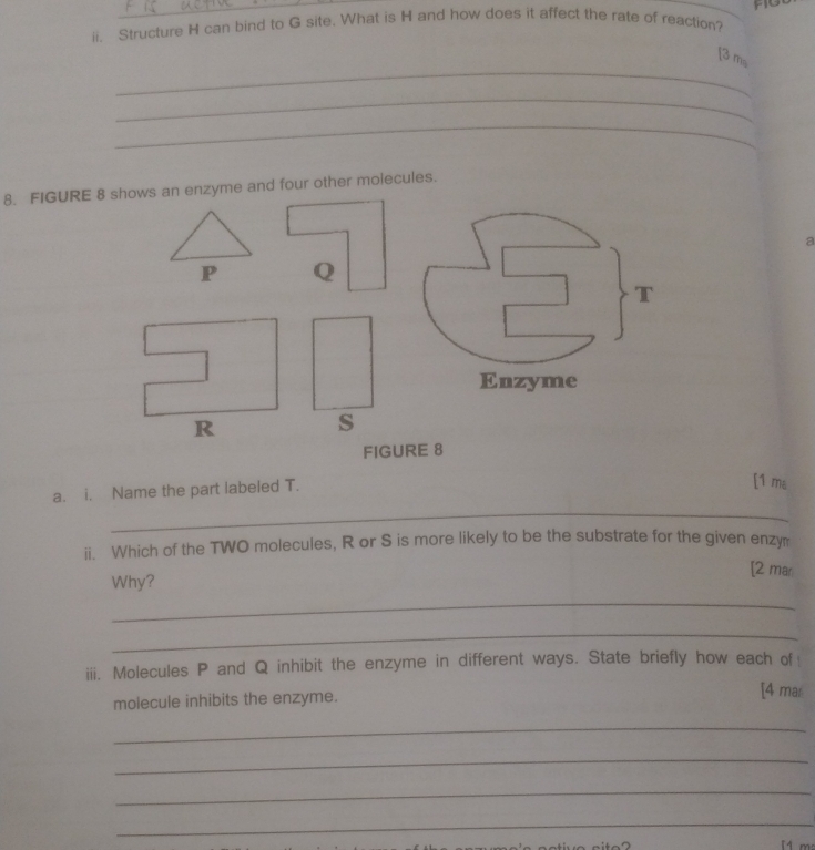 Structure H can bind to G site. What is H and how does it affect the rate of reaction? 
_ 
[3 ms 
_ 
_ 
8. FIGURE 8 shows an enzyme and four other molecules. 
a
P Q
R
s
FIGURE 8 
a. i. Name the part labeled T. 
[1 ma 
_ 
ii. Which of the TWO molecules, R or S is more likely to be the substrate for the given enzym 
[2 mar 
Why? 
_ 
_ 
iii. Molecules P and Q inhibit the enzyme in different ways. State briefly how each of 
molecule inhibits the enzyme. 
[4 mar 
_ 
_ 
_ 
_ 
[1 m