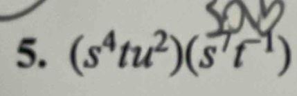 (s^4tu^2)(s't^(-1))