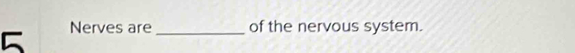 Nerves are _of the nervous system.