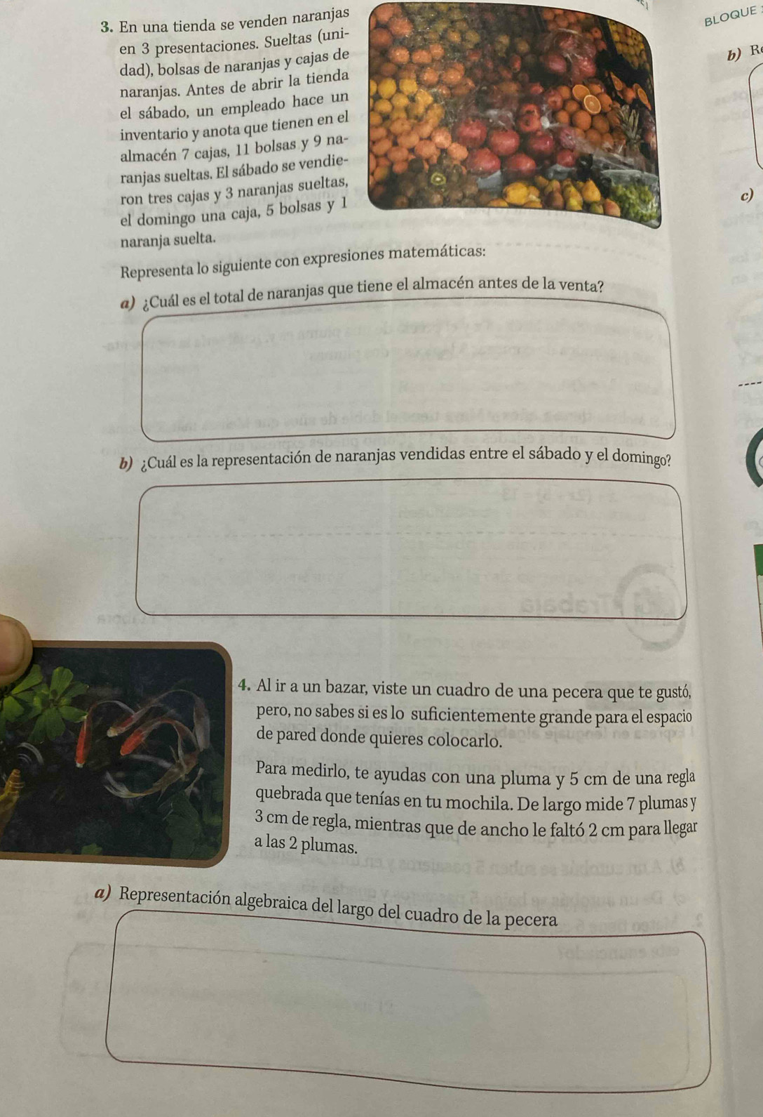 En una tienda se venden naranjas
c_1
BLOQUE 
en 3 presentaciones. Sueltas (uni 
dad), bolsas de naranjas y cajas de 
b) R 
naranjas. Antes de abrir la tienda 
el sábado, un empleado hace un 
inventario y anota que tienen en el 
almacén 7 cajas, 11 bolsas y 9 na- 
ranjas sueltas. El sábado se vendie- 
ron tres cajas y 3 naranjas sueltas, 
el domingo una caja, 5 bolsas y 1
c) 
naranja suelta. 
Representa lo siguiente con expresiones matemáticas: 
@) ¿Cuál es el total de naranjas que tiene el almacén antes de la venta? 
b) ¿Cuál es la representación de naranjas vendidas entre el sábado y el domingo? 
Al ir a un bazar, viste un cuadro de una pecera que te gustó, 
pero, no sabes si es lo suficientemente grande para el espacio 
de pared donde quieres colocarlo. 
Para medirlo, te ayudas con una pluma y 5 cm de una regla 
quebrada que tenías en tu mochila. De largo mide 7 plumas y
cm de regla, mientras que de ancho le faltó 2 cm para llegar 
las 2 plumas. 
@) Representación algebraica del largo del cuadro de la pecera