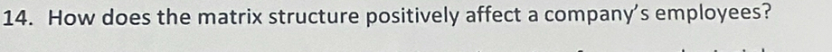 How does the matrix structure positively affect a company's employees?