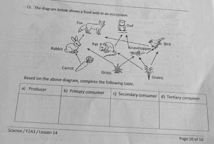 Selesai:The diagram below shows a food web in an ecosystem. Based on ...
