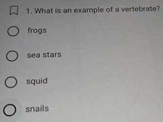 What is an example of a vertebrate?
frogs
sea stars
squid
snails