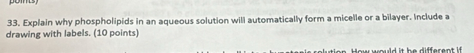 points) 
33. Explain why phospholipids in an aqueous solution will automatically form a micelle or a bilayer. Include a 
drawing with labels. (10 points) 
dow would it be different if .