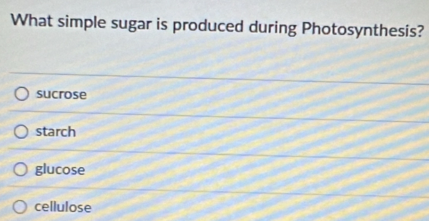 What simple sugar is produced during Photosynthesis?
sucrose
starch
glucose
cellulose