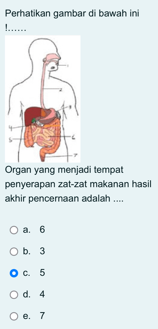 Perhatikan gambar di bawah ini
Organ yang menjadi tempat
penyerapan zat-zat makanan hasil
akhir pencernaan adalah ....
a. 6
b. 3
c. 5
d. 4
e. 7