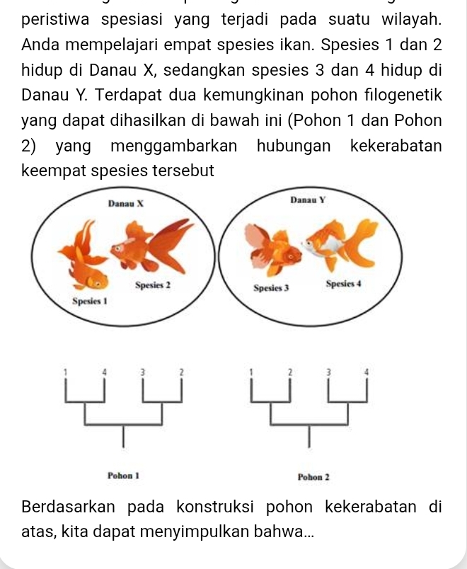 peristiwa spesiasi yang terjadi pada suatu wilayah. 
Anda mempelajari empat spesies ikan. Spesies 1 dan 2
hidup di Danau X, sedangkan spesies 3 dan 4 hidup di 
Danau Y. Terdapat dua kemungkinan pohon filogenetik 
yang dapat dihasilkan di bawah ini (Pohon 1 dan Pohon
2) yang menggambarkan hubungan kekerabatan 
keempat spesies tersebut 
Danau Y
Spesies 3 Spesics 4
4 3 2 2 3
Pohon 1 Pohon 2
Berdasarkan pada konstruksi pohon kekerabatan di 
atas, kita dapat menyimpulkan bahwa...