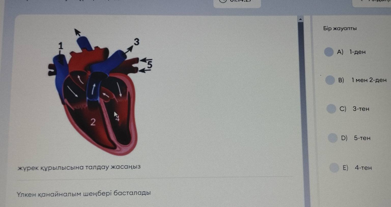 Бip жауаπть
A) 1 -ден
B) 1 мен 2 -ден
C) 3 -teн
D) 5 -teн
жγрек курыелыесьна Тαлдαу жасаныз E) 4 -teн
Υлкен канαйнαлым шенбері бαстαлαды