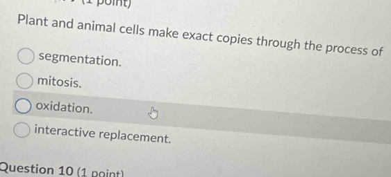 Plant and animal cells make exact copies through the process of
segmentation.
mitosis.
oxidation.
interactive replacement.
Question 10 (1 point)