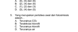 B. (2), (4) dan (6) A. (4), (5) dan (6)
C. (1), (2) dan (3)
D. (3), (4) dan (5)
5. Yang merupakan peristiwa awall dari fotosintesis
adarah .. .
B. Teraktivasi klorofil A Terurainya CO:
C. Terurainya klorofil
D. Terurainya air