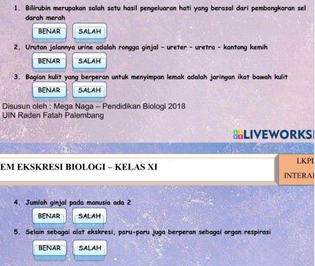 Bilirubin merupakan salah satu hasil pengeluaran hati yang berasal dari pembongkaran sel
darah merah
BENAR SALAH
2. Urutan jalannya urine adalah rongga ginjal - ureter - uretra - kantong kemih
bENAR SALAH
3. Bagian kulit yang berperan untuk menyimpan lemak adalah jaringan ikat bawah kulit
BENAR SALAH
Disusun oleh : Mega Naga - Pendidikan Biologi 2018
UIN Raden Fatah Palembang
SLIVEWORKS
LKPI
EM EKSKRESI BIOLOGI - KELAS XI
INTERAI
4. Jumlah ginjal pada manusia ada 2
BENAR SALAH
5. Selain sebagai alat ekskresi, paru-paru juga berperan sebagai organ respirasi
BENAR SALAH