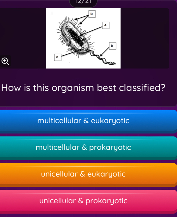 12/ 21
How is this organism best classified?
multicellular & eukaryotic
multicellular & prokaryotic
unicellular & eukaryotic
unicellular & prokaryotic