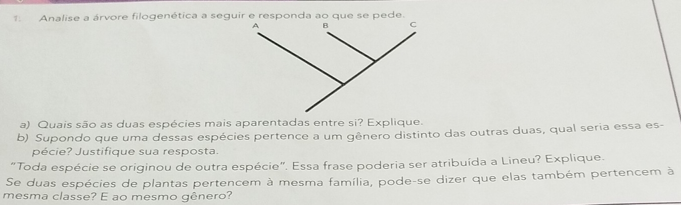 Analise a árvore filogenética a seguir e responda ao que se pede. 
A 
B 
C 
a) Quais são as duas espécies mais aparentadas entre si? Explique. 
b) Supondo que uma dessas espécies pertence a um gênero distinto das outras duas, qual seria essa es- 
pécie? Justifique sua resposta. 
“Toda espécie se originou de outra espécie”. Essa frase poderia ser atribuída a Lineu? Explique. 
Se duas espécies de plantas pertencem à mesma família, pode-se dizer que elas também pertencem à 
mesma classe? E ao mesmo gênero?