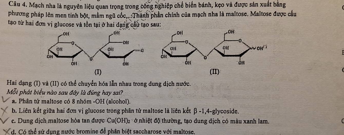 Mạch nha là nguyên liệu quan trọng trong công nghiệp chế biến bánh, kẹo và được sản xuất bằng
phương pháp lên men tinh bột, mầm ngũ cốc,,.:Thành phần chính của mạch nha là maltose. Maltose được cầu
tạo từ hai đơn vị glucose và tồn tại ở hai dạng cầu tạo sau:
(I) (II)
Hai dạng (I) và (II) có thể chuyển hóa lẫn nhau trong dung dịch nước.
Mỗi phát biểu nào sau đây là đúng hay sai?
a. Phân tử maltose có 8 nhóm -OH (alcohol).
b. Liên kết giữa hai đơn vị glucose trong phân tử maltose là liên kết β -1, 4-glycoside.
c. Dung dịch maltose hòa tan được Cu(OH)₂ ở nhiệt độ thường, tạo dung dịch có màu xanh lam. (
d. Có thể sử dụng nước bromine để phân biệt saccharose với maltose.