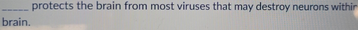 protects the brain from most viruses that may destroy neurons within 
brain.