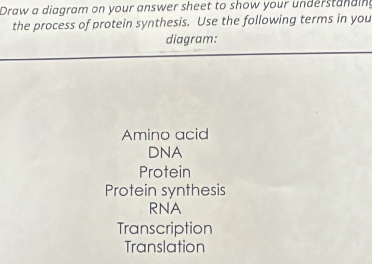 Draw a diagram on your answer sheet to show your understanding
the process of protein synthesis. Use the following terms in you
diagram:
Amino acid
DNA
Protein
Protein synthesis
RNA
Transcription
Translation