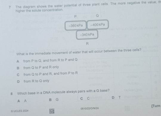 Solved: The diagram shows the water potential of three plant cells. The ...