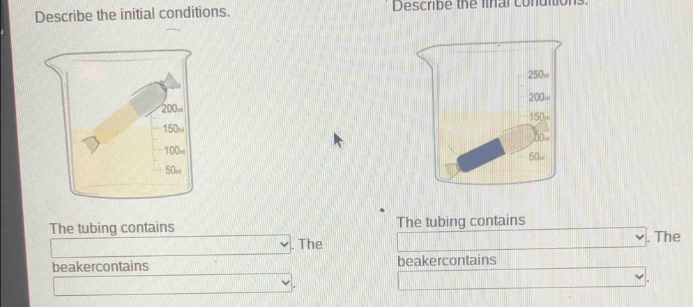 Describe the initial conditions. Describe the linal conuitio 


The tubing contains The tubing contains 
. The . The 
beakercontains beakercontains