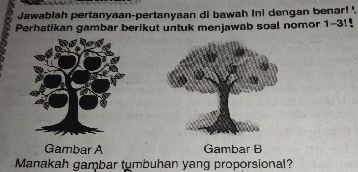 Jawablah pertanyaan-pertanyaan di bawah ini dengan benar! '. 
Perhatikan gambar berikut untuk menjawab soal nomor 1-3!! 
Gambar A Gambar B 
Manakah gambar tumbuhan yang proporsional?