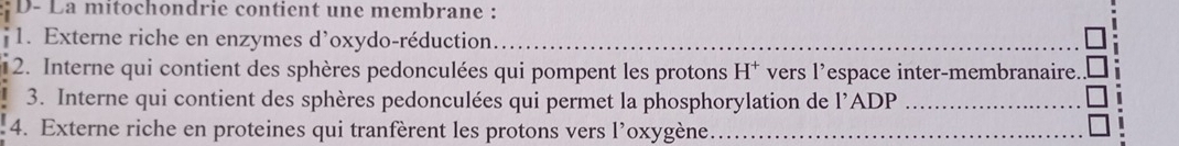 D- La mitochondrie contient une membrane : 
*1. Externe riche en enzymes d'oxydo-réduction 
_ 
2. Interne qui contient des sphères pedonculées qui pompent les protons H^+ vers l’espace inter-membranaire. 
3. Interne qui contient des sphères pedonculées qui permet la phosphorylation de l’ADP_ 
4. Externe riche en proteines qui tranfèrent les protons vers l’oxygène_