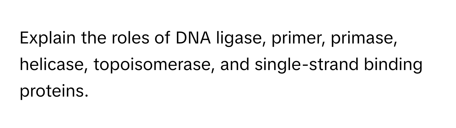 Explain the roles of DNA ligase, primer, primase, helicase, topoisomerase, and single-strand binding proteins.