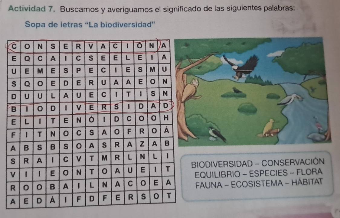 Actividad 7. Buscamos y averiguamos el significado de las siguientes palabras: 
Sopa de letras “La biodiversidad” 
BIODIVERSIDAD - CONSERVACIÓN 
EQUILIBRIO - ESPECIES - FLORA 
FAUNA - ECOSISTEMA - HÁBITAT