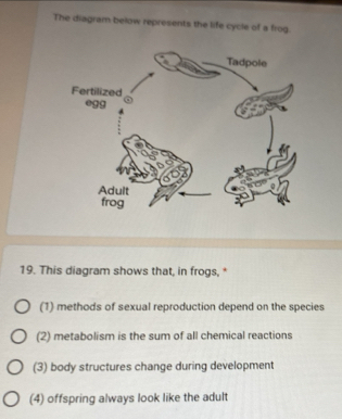 Solved: The diagram below represents the life cycle of a frog. 19. This ...