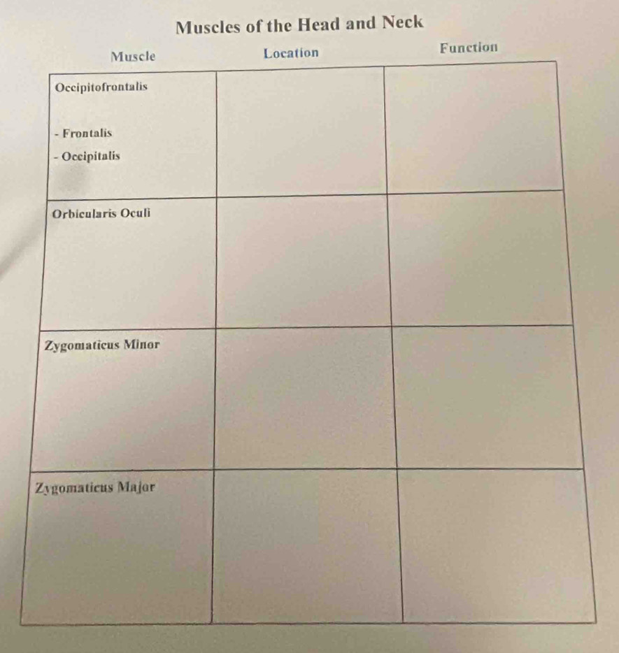 Muscles of the Head and Neck