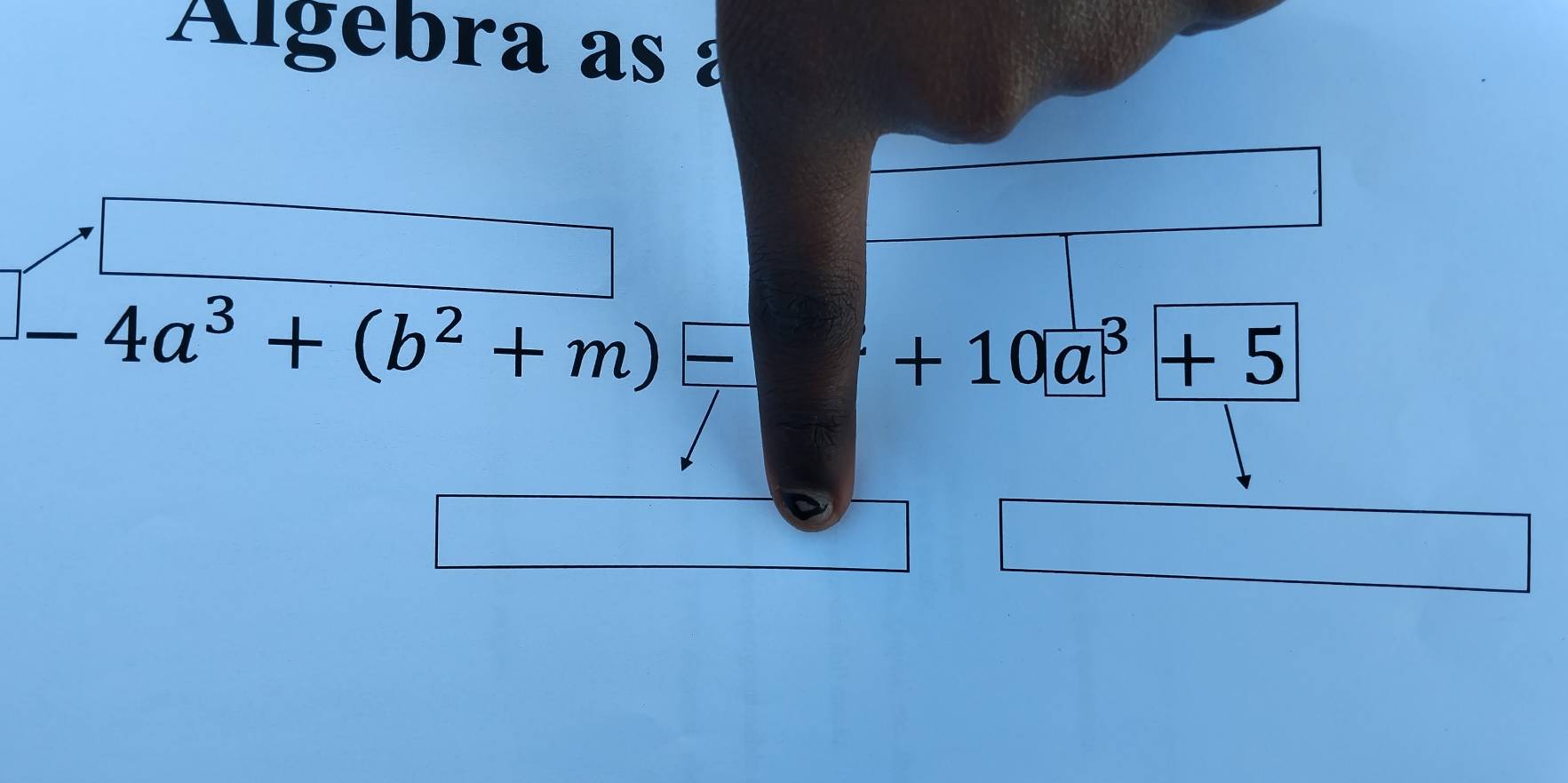 Algebra as à
-4a^3+(b^2+m)-
+10a^3+5