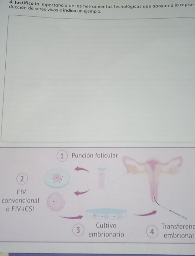 Justifico la importancia de las herramientas tecnológicas que apoyan a la repro- 
ducción de seres vivos e indico un ejemplo. 
1 Punción folicular 
2 
FIV 
convencional 
o FIV-ICSI 
Cultivo 
3 embrionario 4 Transferend 
embrionar