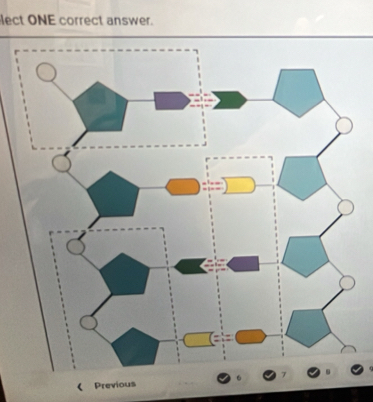 lect ONE correct answer. 
Previous