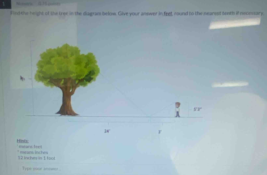 Numeric 0.75 points
Find the height of the tree in the diagram below. Give your answer in feet, round to the nearest tenth if necessary.
Hints:
means feet
means inches
12 Inches in 1 foot
Type your answer..