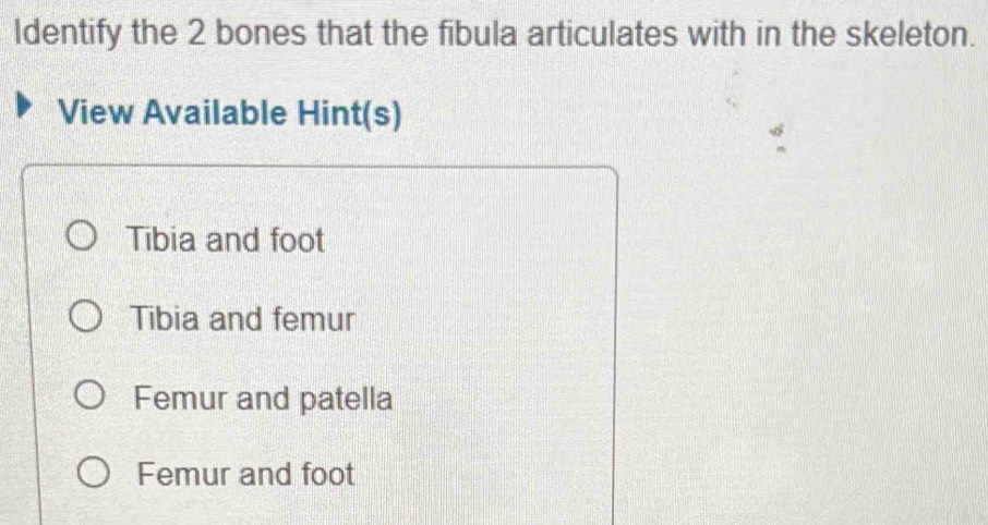 Identify the 2 bones that the fibula articulates with in the skeleton.
View Available Hint(s)
Tibia and foot
Tibia and femur
Femur and patella
Femur and foot