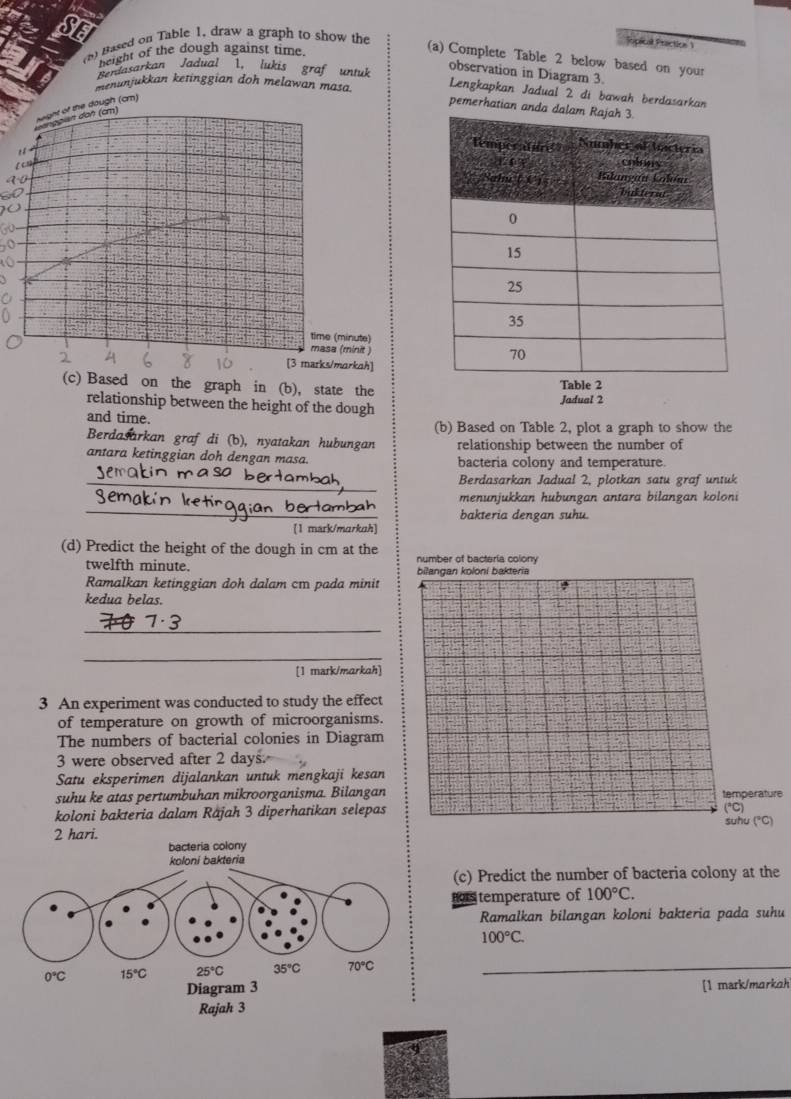 Based on Table 1, draw a graph to show the
Ropical Praction 1
height of the dough against time 
(a) Complete Table 2 below based on your
Berdasarkan Jadual 1. lukis graf untuk
observation in Diagram 3
menunjukkan ketinggian doh melawan masa. Lengkapkan Jadual 2 di bawah berdasarkan
pemerhatian an
(c) Based on the graph in (b), state the
relationship between the height of the dough Jadual 2
and time. (b) Based on Table 2, plot a graph to show the
Berdasarkan graf di (b), nyatakan hubungan relationship between the number of
antara ketinggian doh dengan masa. bacteria colony and temperature.
_Berdasarkan Jadual 2, plotkan satu graf untuk
menunjukkan hubungan antara bilangan koloni
_bakteria dengan suhu.
[1 mark/markah]
(d) Predict the height of the dough in cm at the number of bacteria colony
twelfth minute. bilangan koloni bakteria
Ramalkan ketinggian doh dalam cm pada minit
kedua belas.
_
_
[1 matk/markah]
3 An experiment was conducted to study the effect
of temperature on growth of microorganisms.
The numbers of bacterial colonies in Diagram
3 were observed after 2 days.
Satu eksperimen dijalankan untuk mengkaji kesan
suhu ke atas pertumbuhan mikroorganisma. Bilangan temperature
koloni bakteria dalam Räjah 3 diperhatikan selepas
(^circ C)
suhu (°C)
2 hari.
(c) Predict the number of bacteria colony at the
temperature of 100°C.
Ramalkan bilangan koloni bakteria pada suhu
100°C.
_
[1 mark/markah