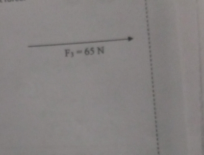 F_3=65N