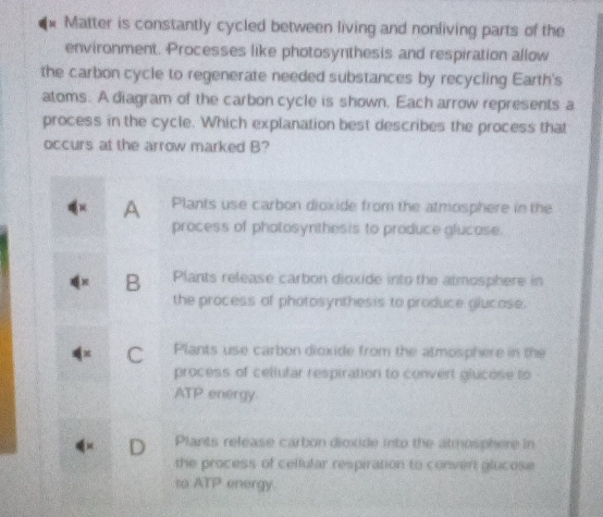 Matter is constantly cycled between living and nonliving parts of the
environment. Processes like photosynthesis and respiration allow
the carbon cycle to regenerate needed substances by recycling Earth's
atoms. A diagram of the carbon cycle is shown, Each arrow represents a
process in the cycle. Which explanation best describes the process that
occurs at the arrow marked B?
A Plants use carbon dioxide from the atmosphere in the
process of photosynthesis to produce glucose.
B Plants release carbon dioxide into the atmosphere in
the process of photosynthesis to produce glucose.
C Plants use carbon dioxide from the atmosphere in the
process of cellufar respiration to convert glucose to -
ATP energy
D Plants release carbon dioxide into the atmosphere in
the process of cellular respiration to convert glucose 
to ATP energy.