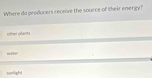 Where do producers receive the source of their energy?
other plants
water
sunlight