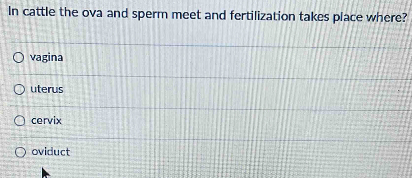 In cattle the ova and sperm meet and fertilization takes place where?
vagina
uterus
cervix
oviduct