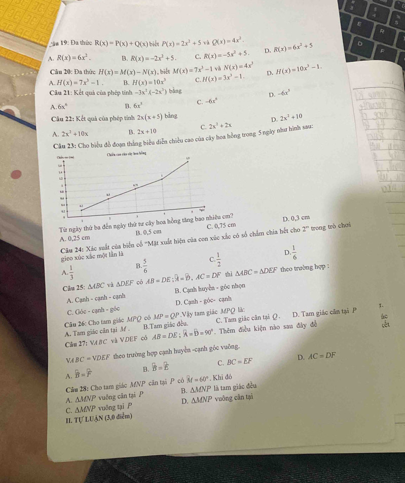  5/4 
E
R
C  âu : Đa thức R(x)=P(x)+Q(x) biết P(x)=2x^2+5 và Q(x)=4x^2.
F
A. R(x)=6x^2. B. R(x)=-2x^2+5. C. R(x)=-5x^2+5. D. R(x)=6x^2+5 D
Câu 20: Đa thức H(x)=M(x)-N(x) , biết M(x)=7x^3-1 và N(x)=4x^3
A. H(x)=7x^3-1. B. H(x)=10x^3 C. H(x)=3x^3-1. D. H(x)=10x^3-1.
Câu 21: Kết quả của phép tính -3x^2.(-2x^3) bằng
D. -6x^5
A. 6x^6 B. 6x^5
C. -6x^6
Câu 22: Kết quả của phép tỉnh 2x(x+5) bằng 2x^2+10
A. 2x^2+10x B. 2x+10 C. 2x^2+2x D.
Câu 23: Cho biểu đồ đoạn thẳng biểu diễn chiều cao của cây hoa hồng trong 5 ngày như hình sau:
Chiếu cao (rm) Chiêu cao của cây hoa bằng
L6
La
u 8.75
u
1 .
,
Từ ngày thứ ba đến ngày thứ tư cây hoa hồng tăng bao nhiêu cm? D. 0,3 cm
A. 0,25 cm B. 0,5 cm C. 0,75 cm
Câu 24: Xác suất của biến cố “Mặt xuất hiện của con xúc xắc có số chấm chia hết cho 2^('') trong trò chơi
gieo xúc xắc một lần là
D.  1/6 
A.  1/3 
B.  5/6 
C.  1/2 
Câu 25: △ ABC và △ DEF có AB=DE;A=D,AC=DF thì △ ABC=△ DEF theo trường hợp :
A. Cạnh - cạnh - cạnh B. Cạnh huyền - góc nhọn
1.
C. Góc - cạnh - góc D. Cạnh - góc- cạnh
Câu 26: Cho tam giác MPQ có MP=QP.Vậy tam giác MPQ là: D. Tam giác cần tại P
A. Tam giác cân tại M . B.Tam giác đều. C. Tam giác cân tại Ω.
ác
Câu 17.0 4BC và VDEF có AB=DE;widehat A=widehat B=90°. Thêm điều kiện nào sau đây đề
cết
V BC=VDEF theo trường hợp cạnh huyền -cạnh góc vuông.
D. AC=DF
A. B=F B. B=E C. BC=EF
Câu 28: Cho tam giác MNP cân tại P có widehat M=60°. Khi đó
A. △ MNP vuông cân tại P B. △ MNP là tam giác đều
C. △ MNP vuông tại P D. △ MNP vuông cân tại
II. TU'LUA N (3,0 điễm)